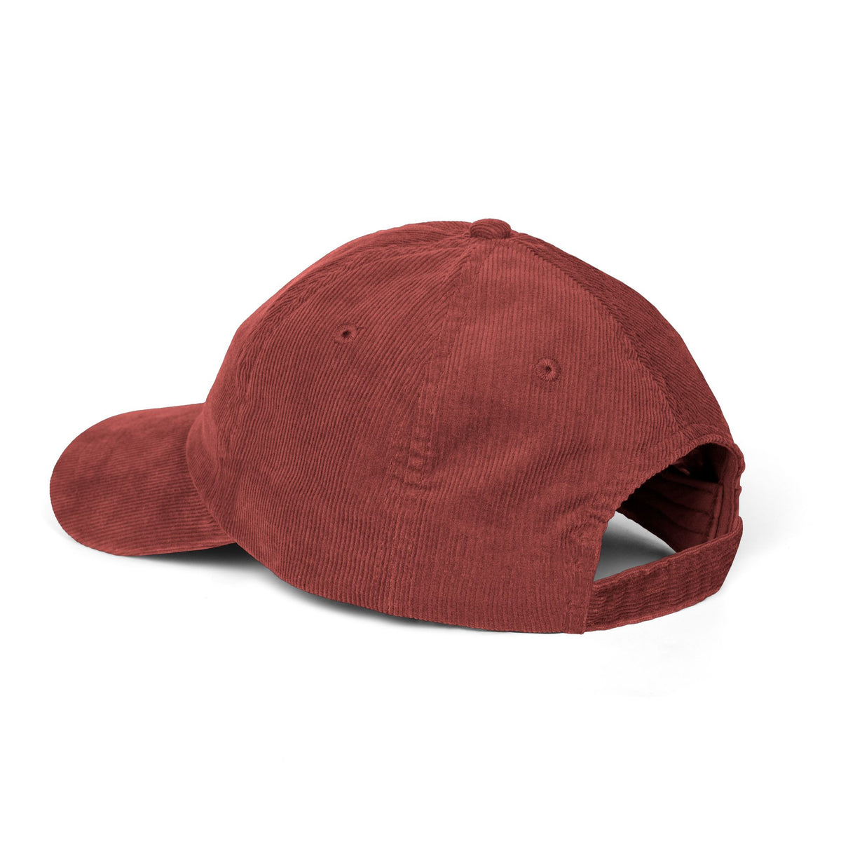 Vintage Corduroy Cap — "Anti Self Help Club" Embroidered Corduroy Hat